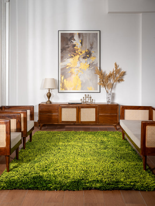 Shag Hand Tufted Rug