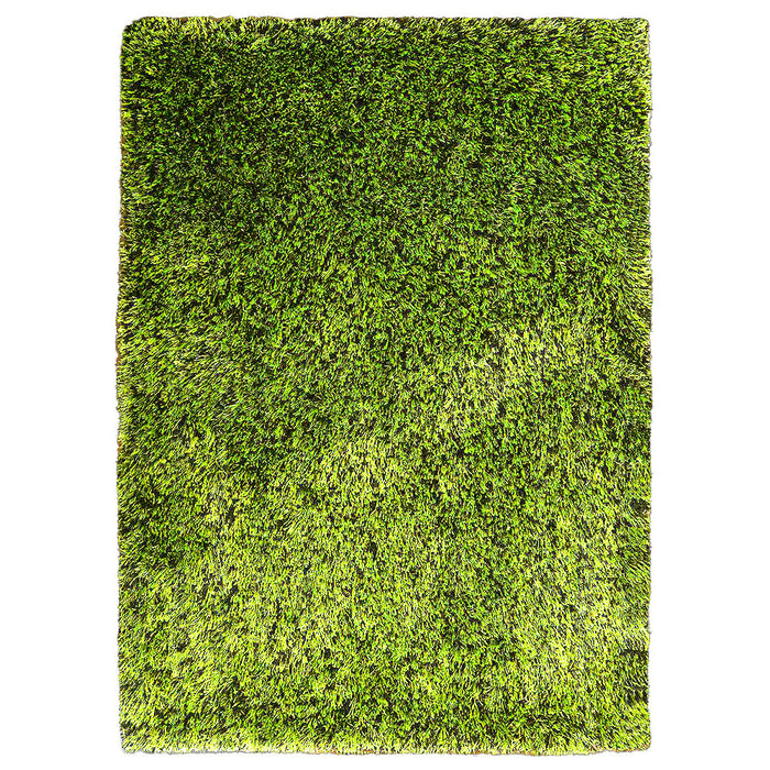 Shag Hand Tufted Rug — rug only