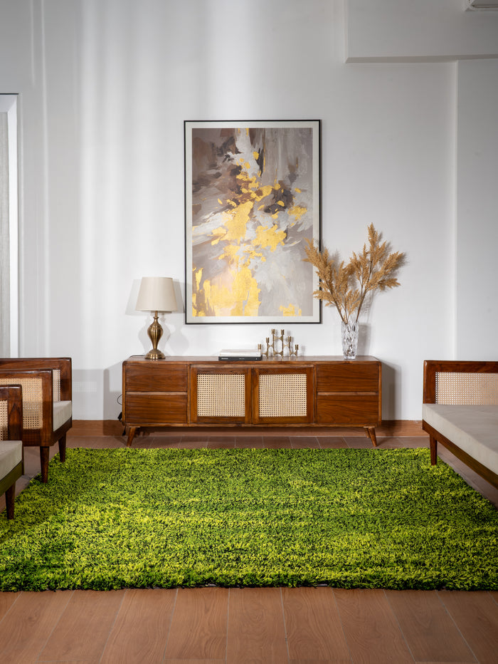 Shag Hand Tufted Rug