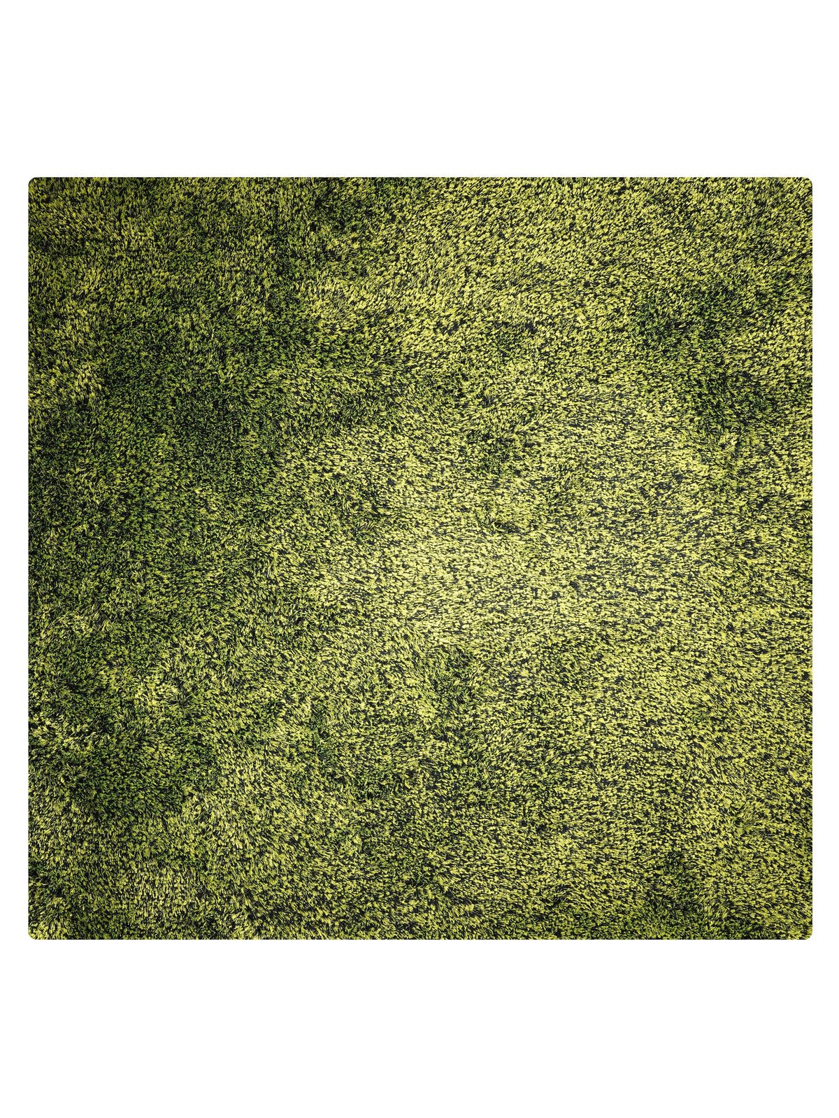 Shag Hand Tufted Rug