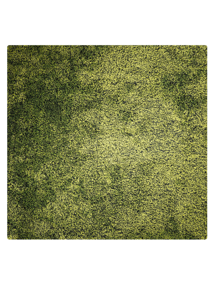 Shag Hand Tufted Rug — rug only
