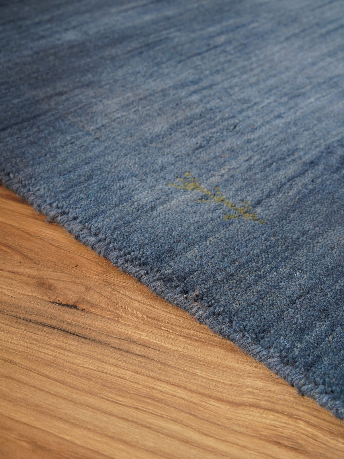 Asuncion Hand Knotted Rug