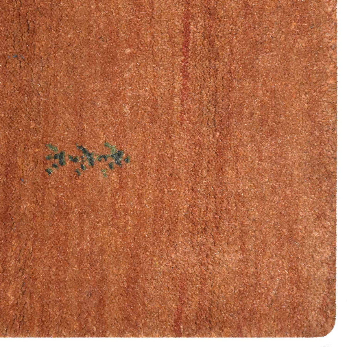 Asuncion Premium Hand Knotted Wool Rug