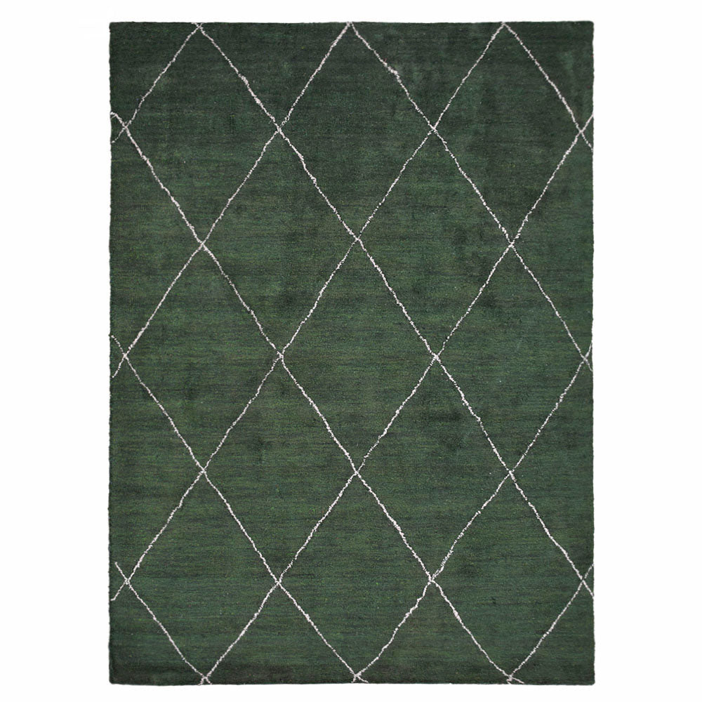 Diversity Hand Knotted Rug