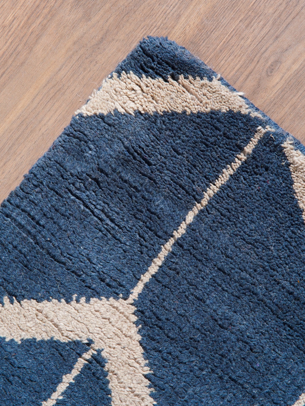 Parqueted Hand Knotted Rug