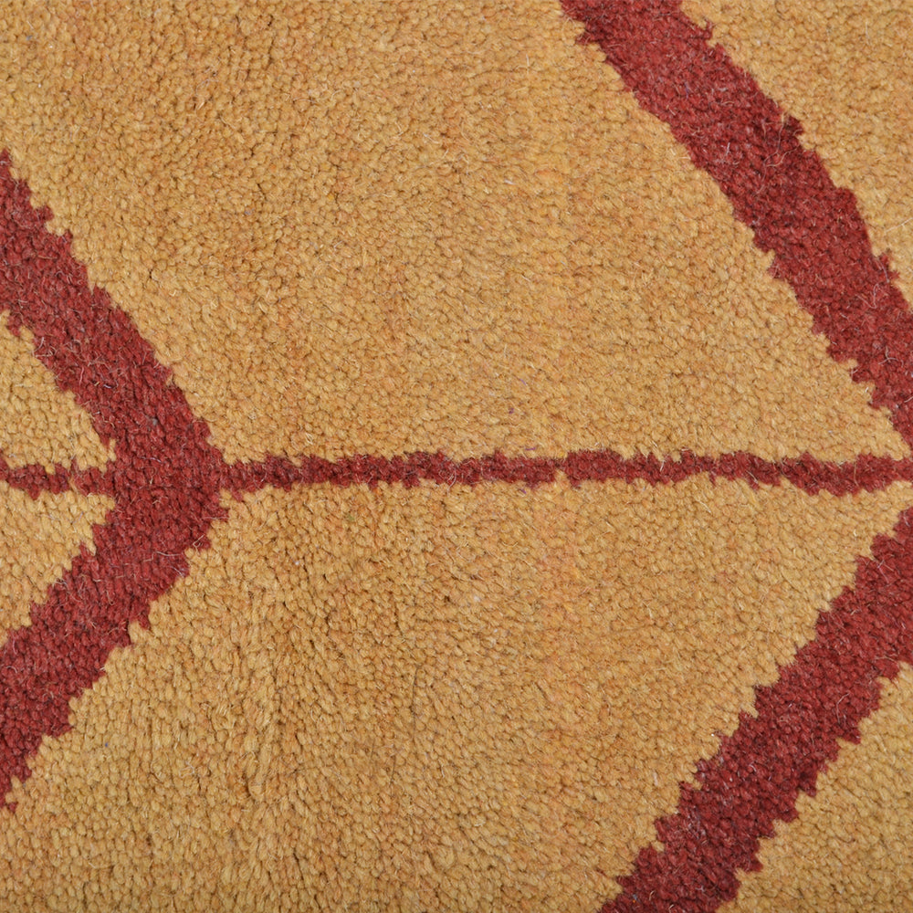 Parqueted Hand Knotted Rug