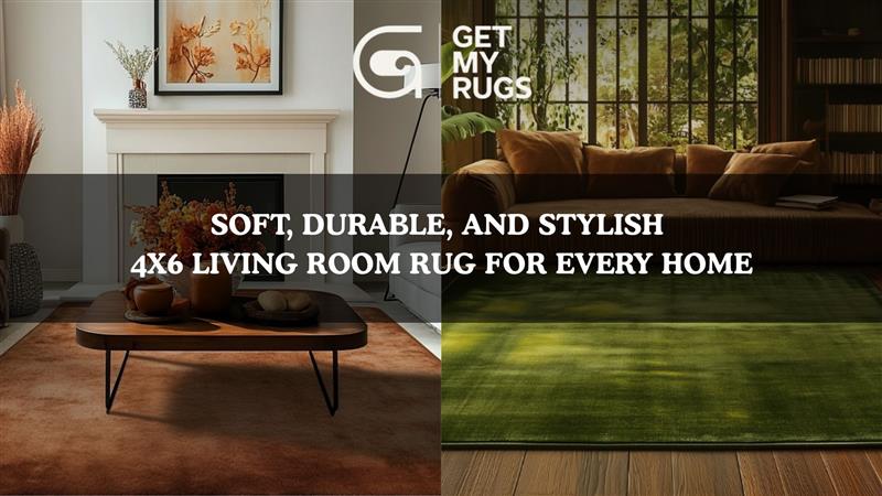 High-quality 4X6 Living Room Rug in cozy living room