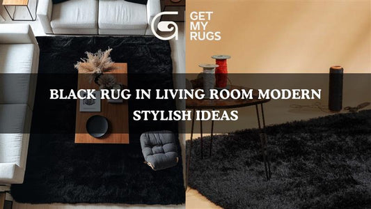 Black rug in modern living room