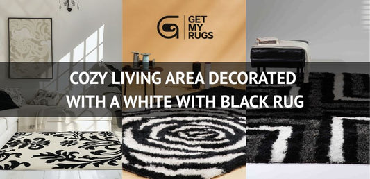 White With Black Rug in stylish living room