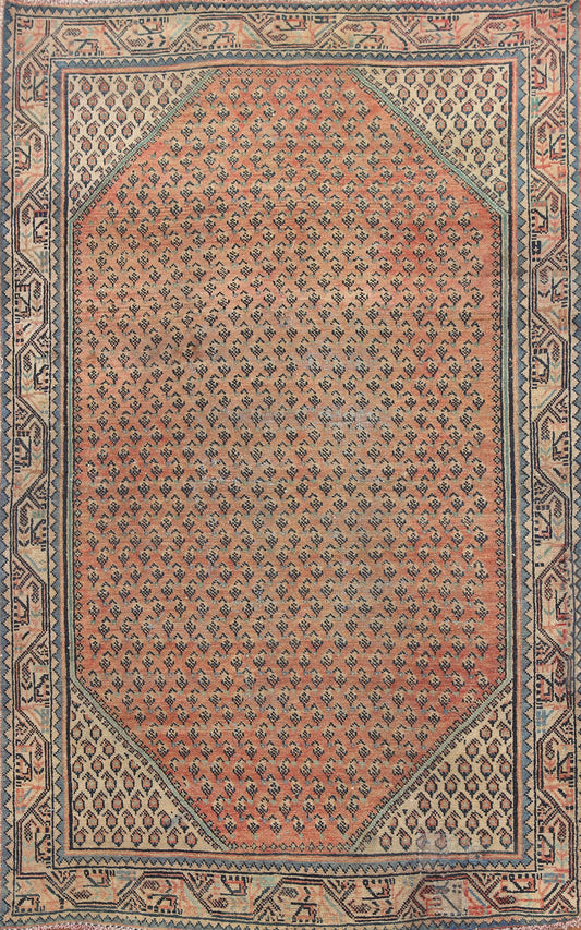All-Over Botemir Persian Area Rug 4x6