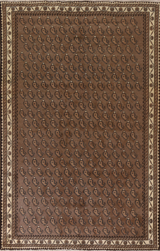 All-Over Brown Mashad Persian Area Rug 6x10