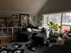 Peperomia Hand Tufted Rug