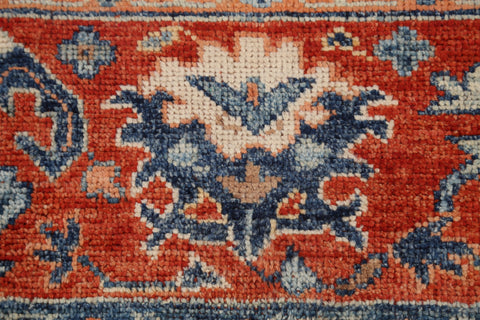 100% Vegetable Dye Khotan Oriental Area Rug 9x10