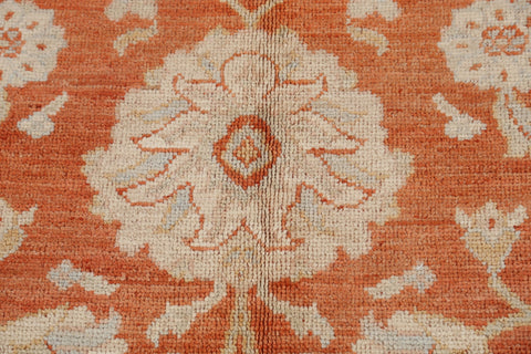 100% Vegetable Dye Khotan Oriental Area Rug 9x10