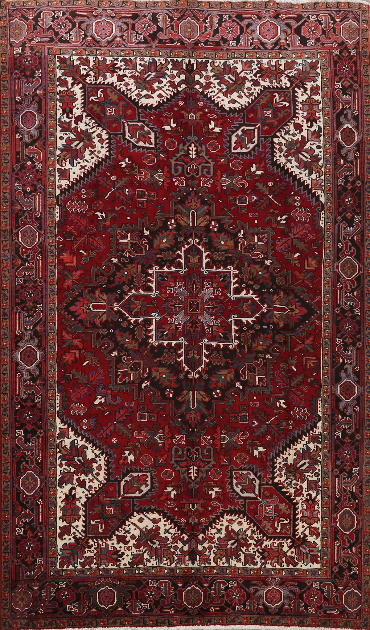 Geometric Heriz Persian Area Rug 8x11