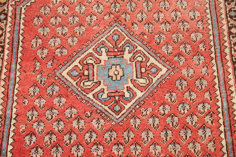 Geometric Botemir Persian Area Rug 4x7