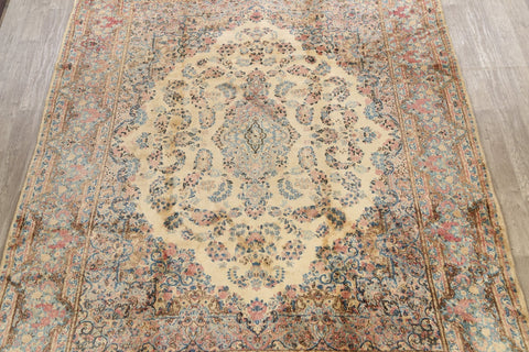 Vegetable Dye Floral Kerman Persian Area Rug 9x11