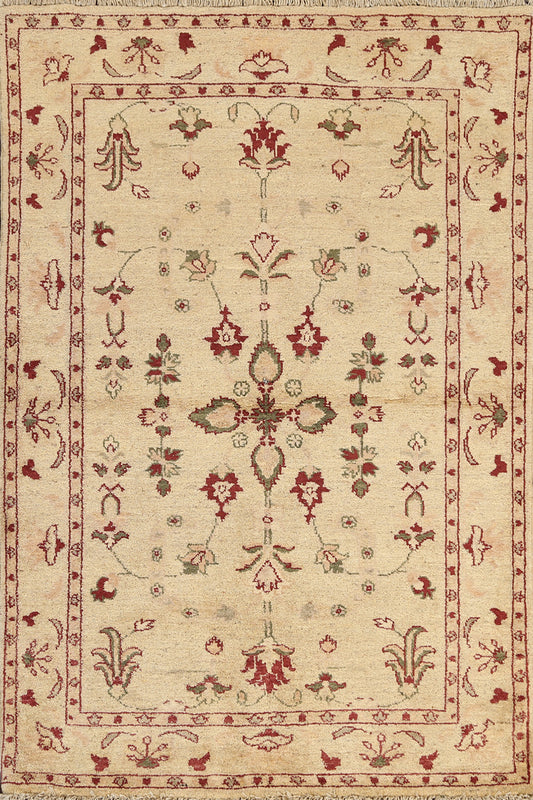 Floral Peshawar Oriental Area Rug 4x5