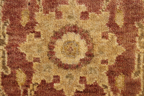 Floral Peshawar Oriental Runner Rug 3x8