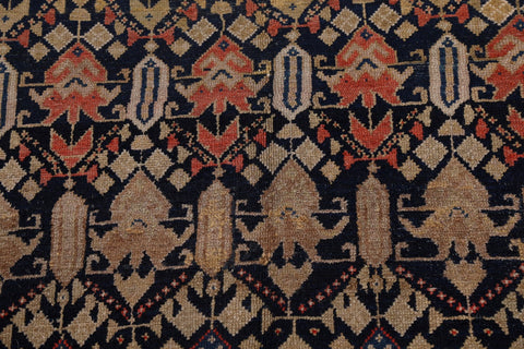 Pre-1900 Antique Vegetable Dye Malayer Persian Area Rug 5x11