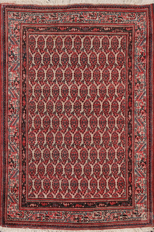 Antique Botemir Persian Wool Rug 3x5