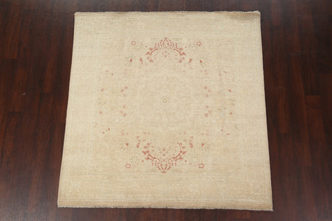 Vegetable Dye Peshawar Chobi Wool Square Rug 6x6