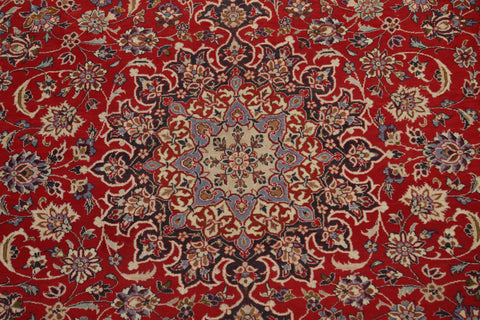 Traditional Wool Najafabad Persian Area Rug 9x13