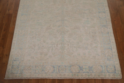 Vegetable Dye Art Deco Oriental Area Rug 4x5