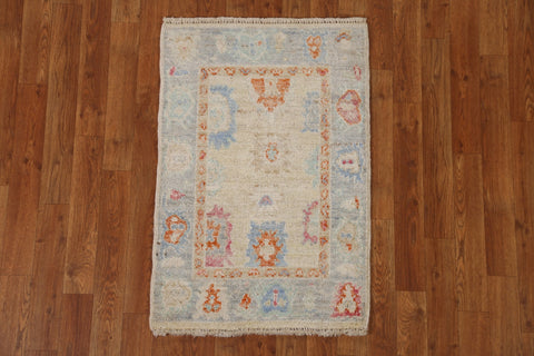 Muted Oushak Oriental Area Rug 2x3