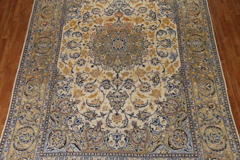 Floral Ivory Najafabad Persian Area Rug 9x13