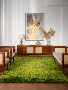 Shag Hand Tufted Rug
