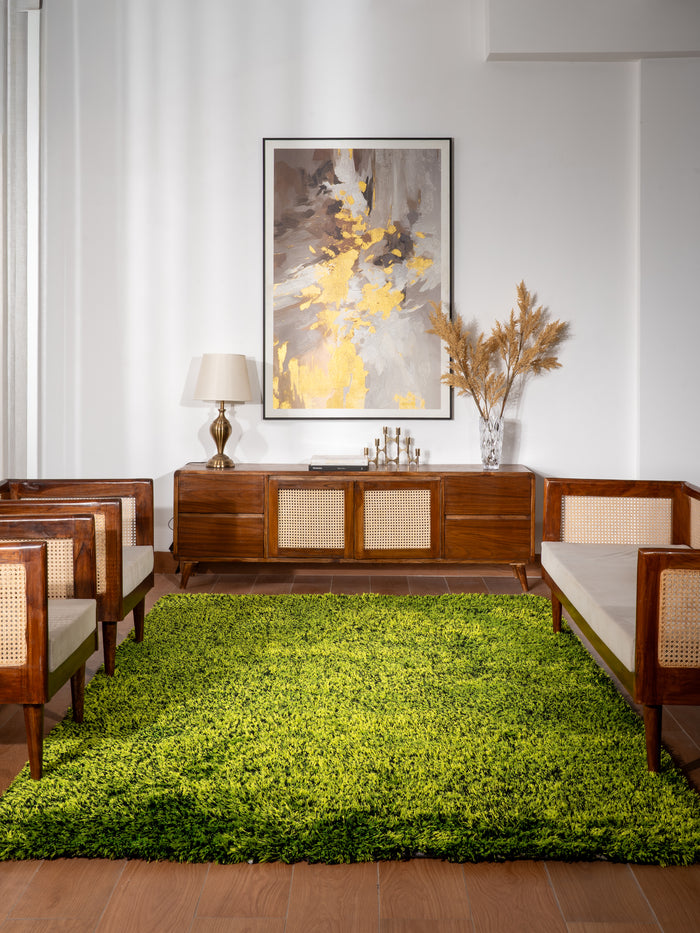 Shag Hand Tufted Rug