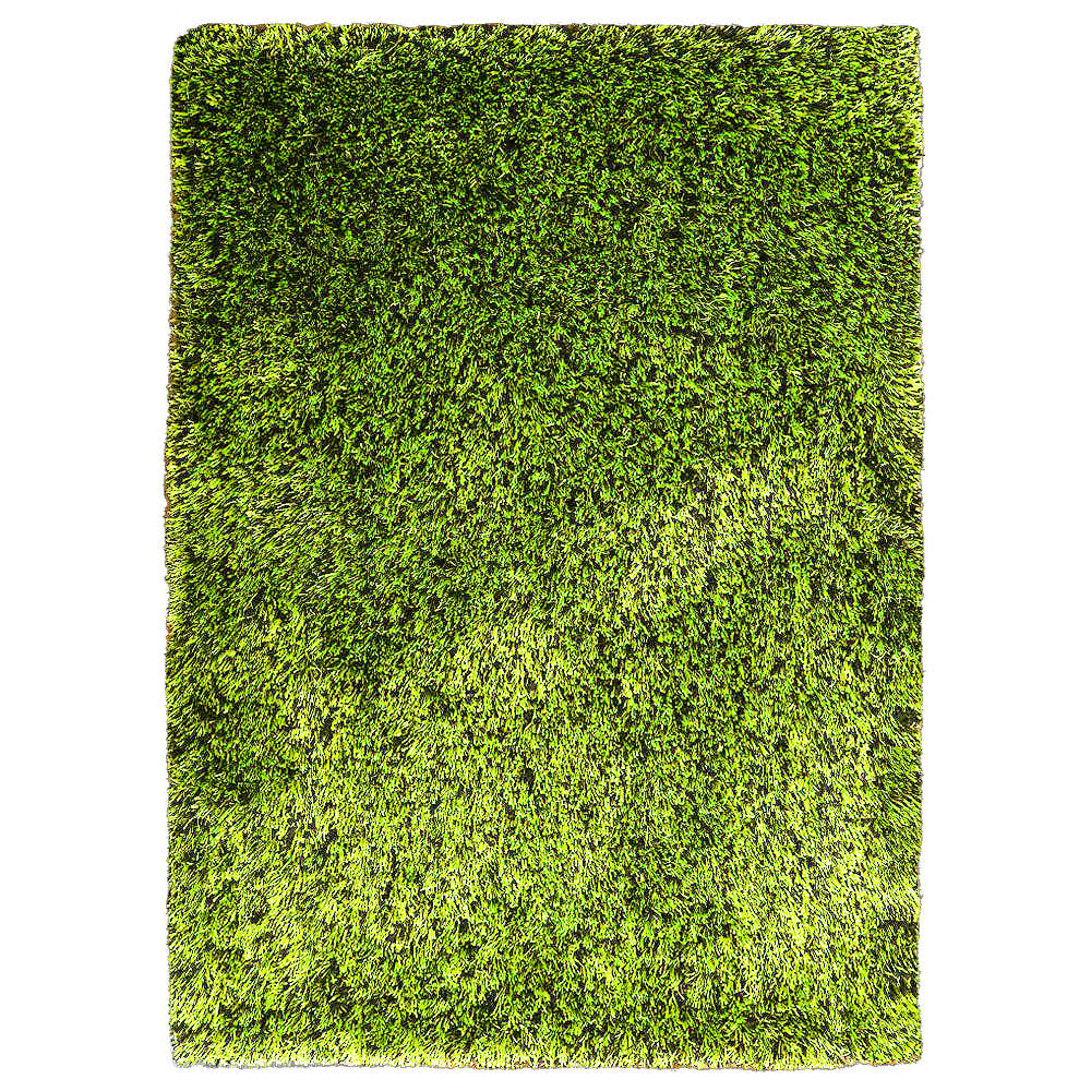 Shag Hand Tufted Rug