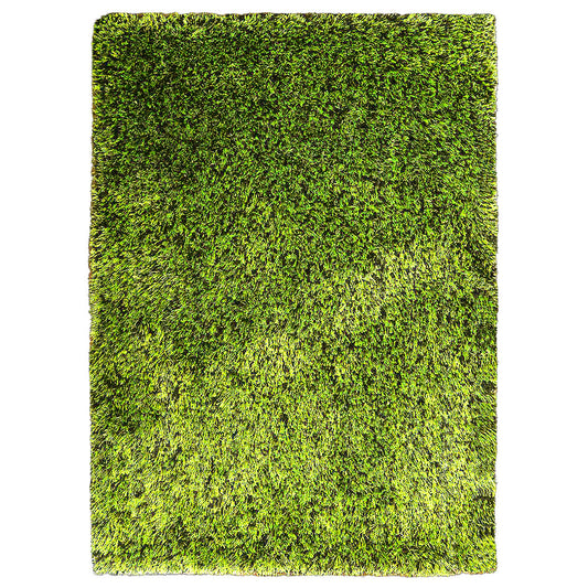 Shag Hand Tufted Rug