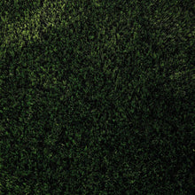 Pile Hand Tufted Rug