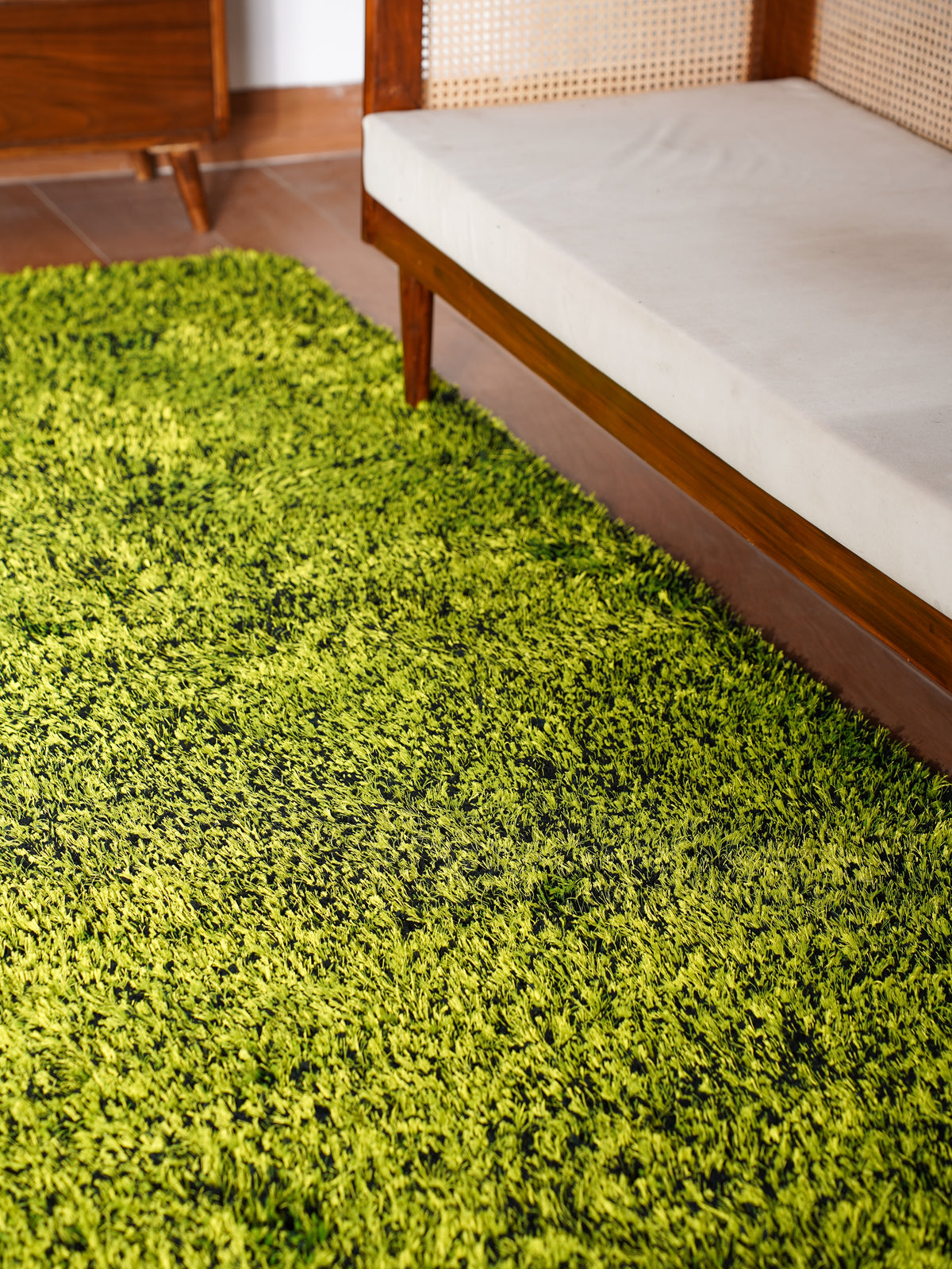 Shag Hand Tufted Rug