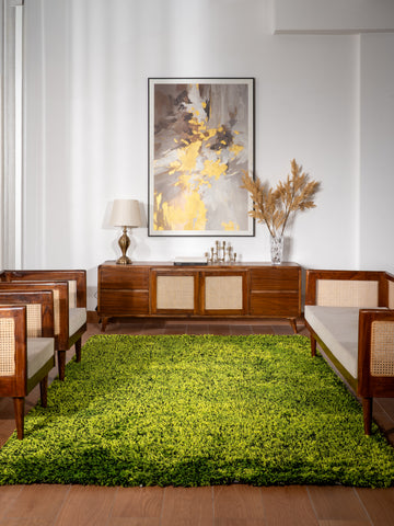 Shag Hand Tufted Rug