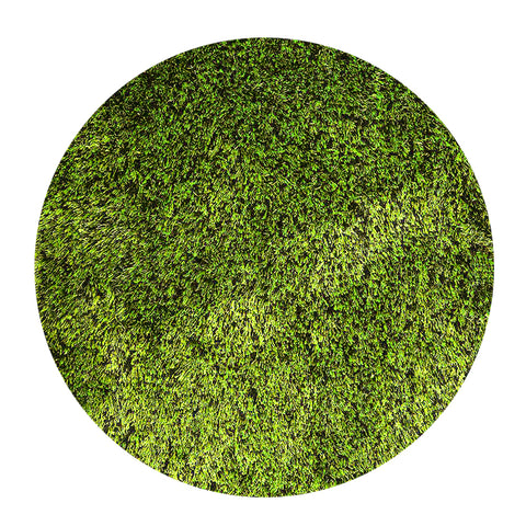 Shag Hand Tufted Rug