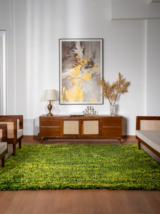 Shag Hand Tufted Rug