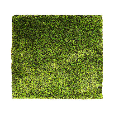 Shag Hand Tufted Rug