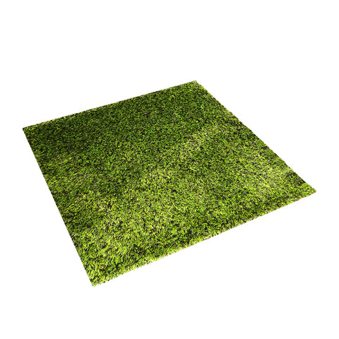 Shag Hand Tufted Rug