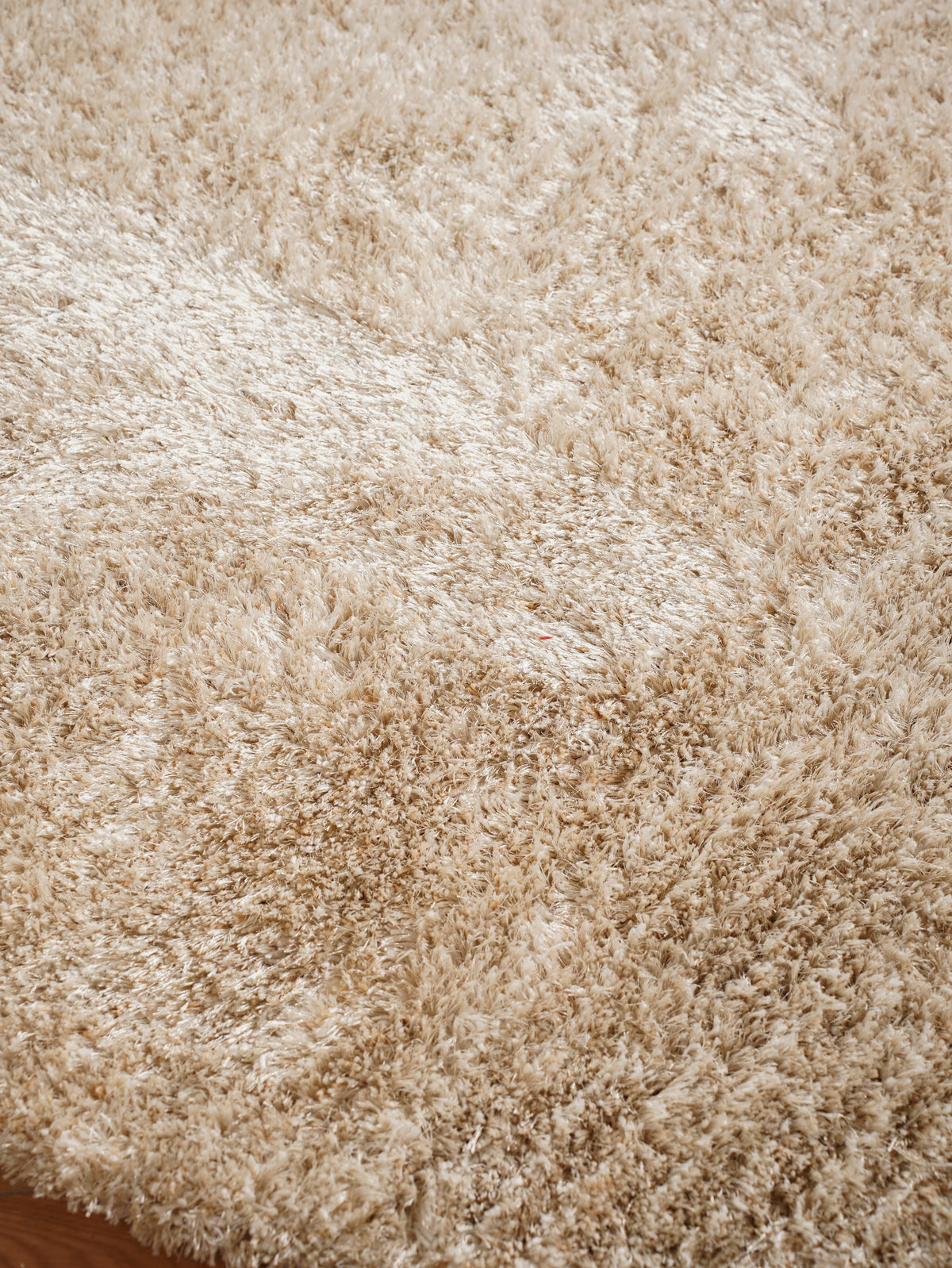 Pile Hand Tufted Rug