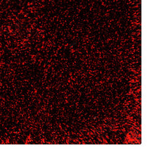 hand-tufted-shag-polyester-solid-red-black-runner-rug-closeup-1