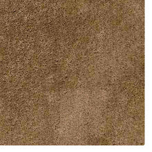 Pile Hand Tufted Rug
