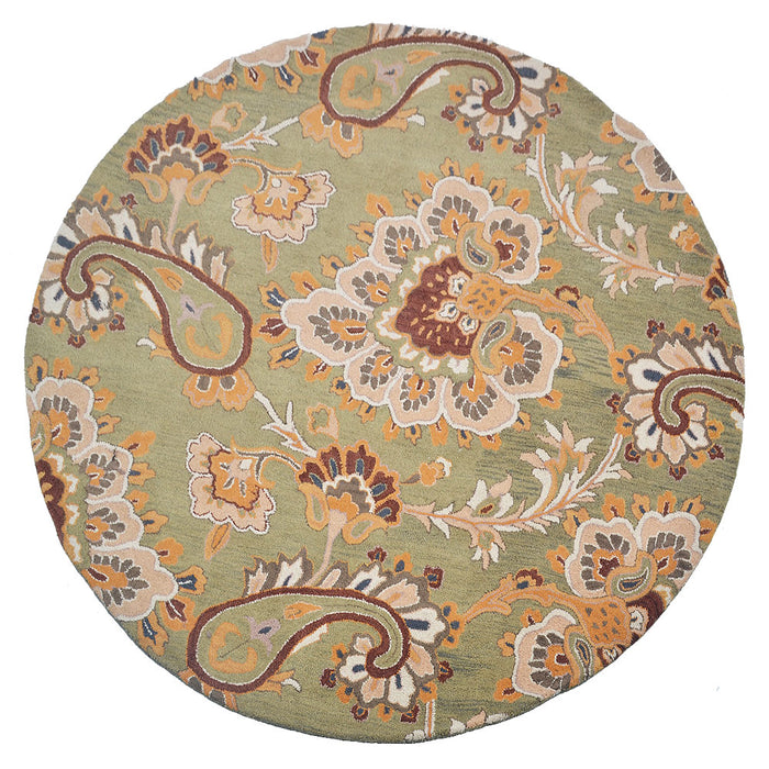 Johnny Jump Up Hand Tufted Rug