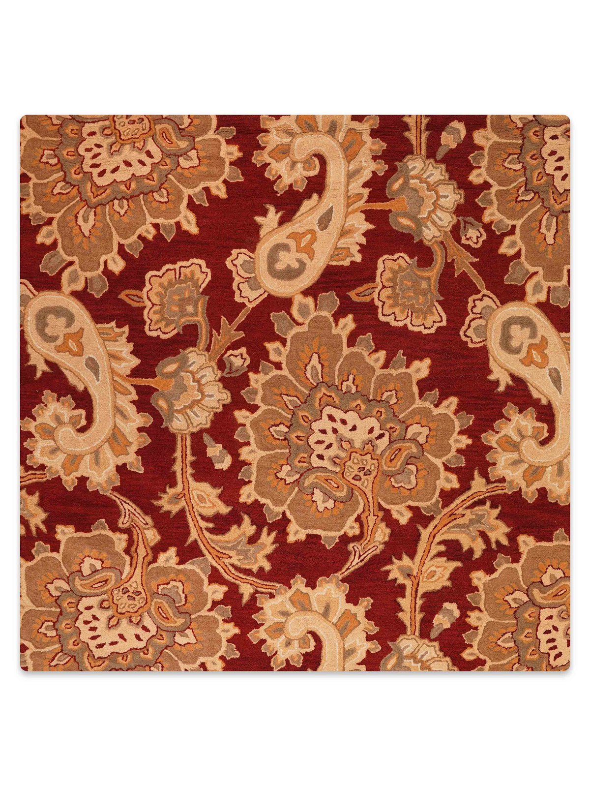 Johnny Jump Up Hand Tufted Rug