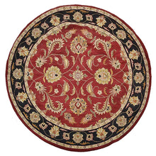Arak Hand Tufted Rug