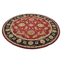 Arak Hand Tufted Rug