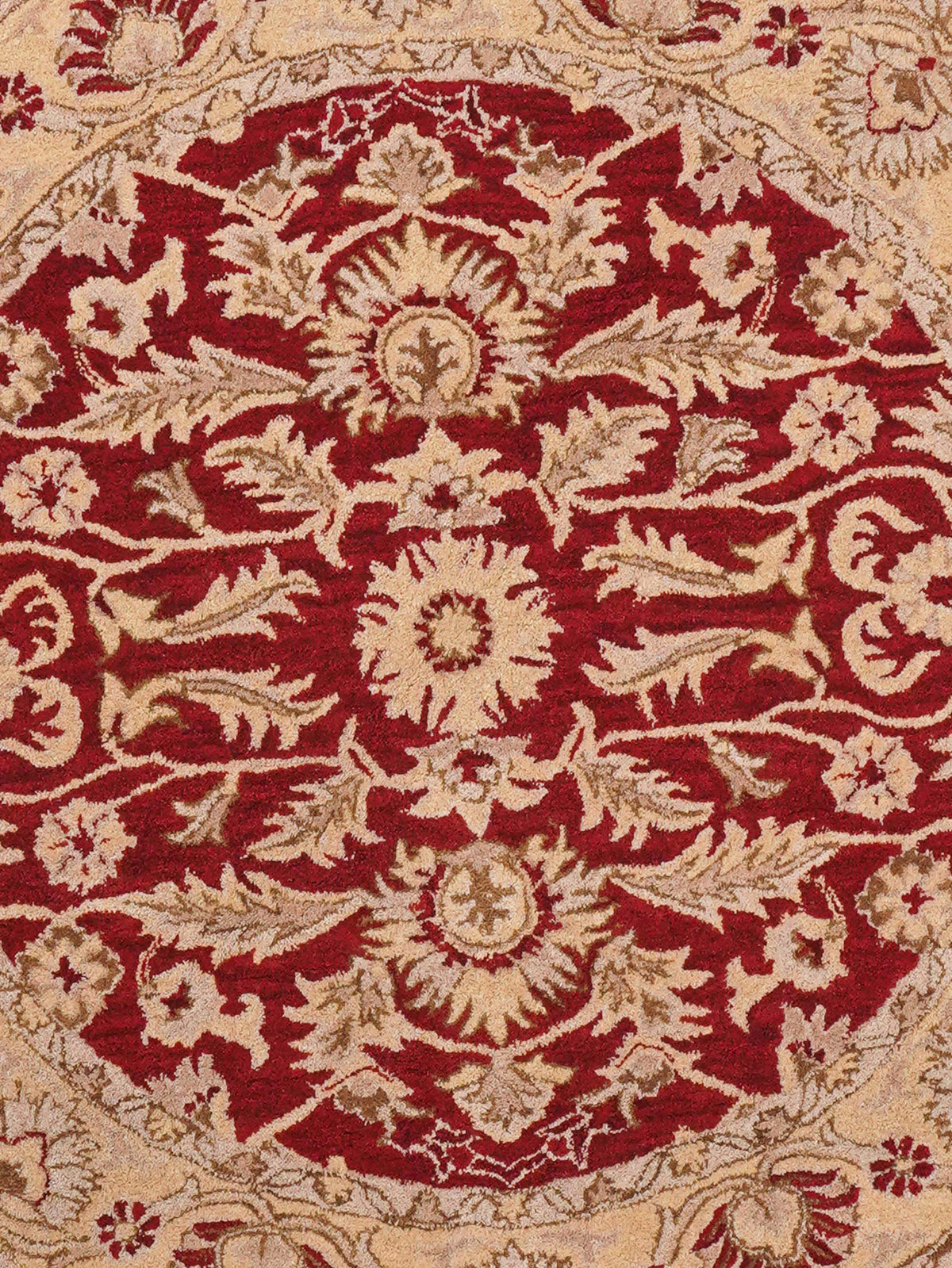 Jajim Hand Tufted Rug