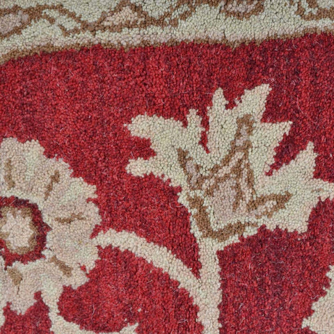 Jajim Hand Tufted Rug